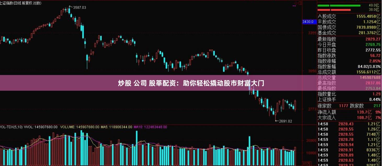 炒股 公司 股莘配资：助你轻松撬动股市财富大门